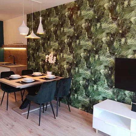 Piano * Świeradów-Zdrój